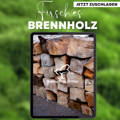 𝟏 𝐒𝐑𝐌 𝐟𝐫𝐢𝐬𝐜𝐡𝐞𝐬 𝐁𝐫𝐞𝐧𝐧𝐡𝐨𝐥𝐳/ Nicht ofenfertig (𝐊𝐨𝐬𝐭𝐞𝐧𝐥𝐨𝐬𝐞 𝐋𝐢𝐞𝐟𝐞𝐫𝐮𝐧𝐠 𝐚𝐛 𝟕 𝐒𝐑𝐌!) 𝐜𝐚. 𝟑𝟑𝐜𝐦